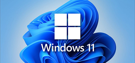 Windows 11