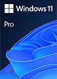 Windows 11 Pro