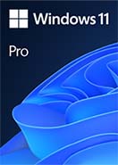 Windows 11 Pro